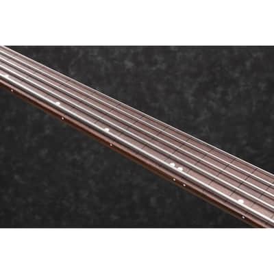 Ibanez SRH505FNNF SR Bass Workshop 5-string Bass - Hollow Body Fretless - Fretless - Natural Browned Burst Flat image 5
