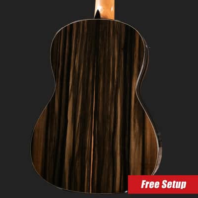Jose Marques Doubletop Classical Acoustic Guitar - Exotic Ebony, Cedar Top with Hardshell Case image 2