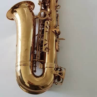Alto Saxophone - Sax in Eb Gold Finish & Soft Case Complete Outfit By Chase~ image 10