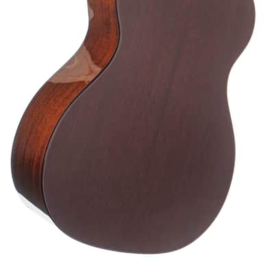 Boucher BG-41T-G Guitar #MYT-1025-OMH8 image 4