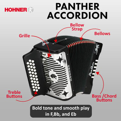 Hohner Panther Diatonic Accordion - Keys G/C/F w/ Gig Bag image 5