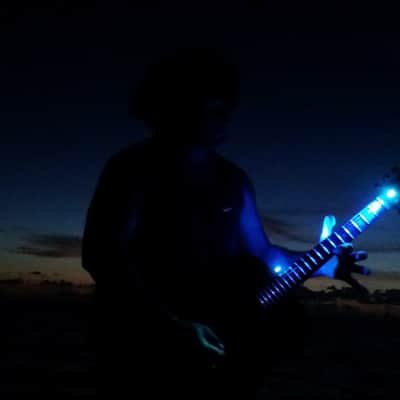 FRETLORD SPECTRUS GUITAR LED FRET BOARD SPOT LIGHT image 18