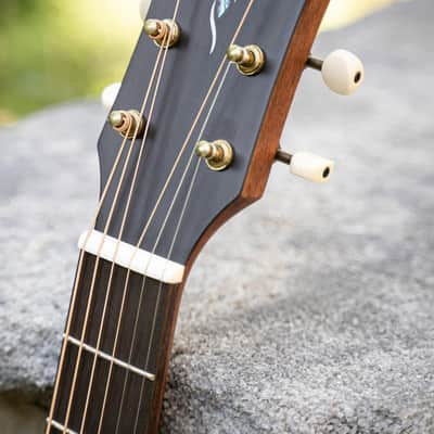 Cort Core-PE Mahogany Parlor All Solid Acoustic Guitar Fishman image 4