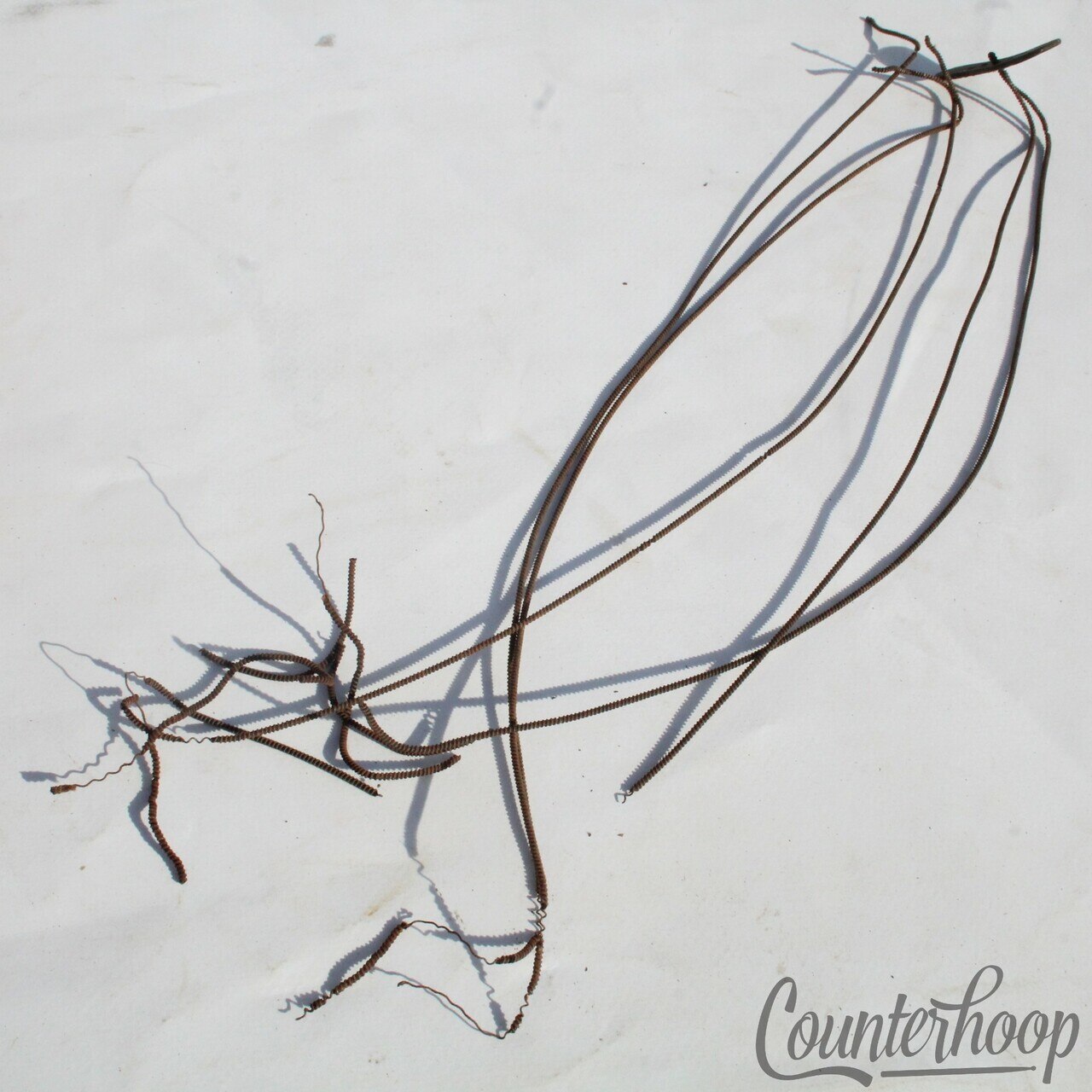 Leedy Coiled Metal-Cloth 13"/10.5"Snare Drum Wires Strands Leather Butt Vintage — main photograph