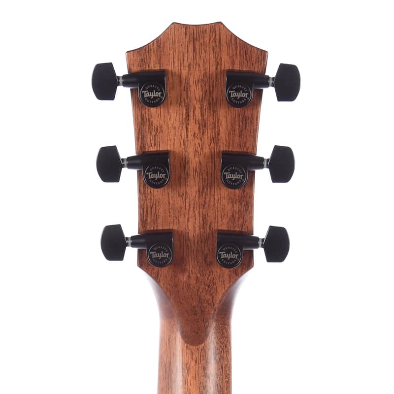 Taylor 324e with V-Class Bracing image 7