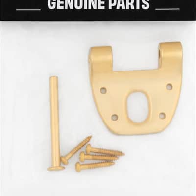 Bigsby Extra Short Hinge, w/ Hinge Pin and Screws, Gold, 180-0042-006 image 3