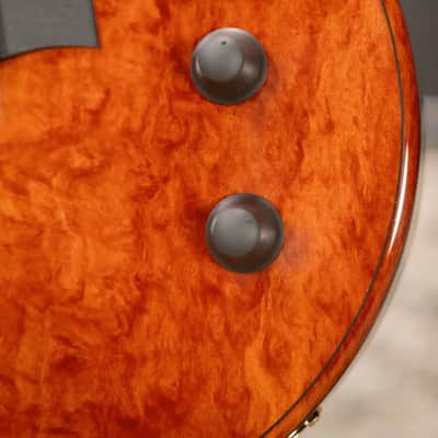 Taylor Custom Shop T5z Custom #C0960 Figured Ironbark/Shamel Ash Hollow Body Electric Guitar with Hardshell Case image 11