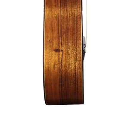 Manuel Adalid 12 Spruce image 8