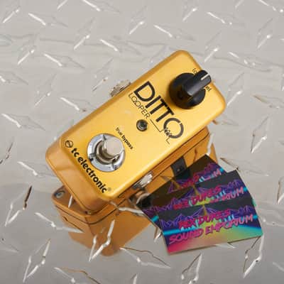 ギター Ditto Looper GOLD Limited TC Electronic Ditto Looper Limited Edition | Reverb