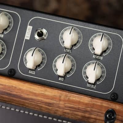 Taylor Circa 74 AV150-10 Amp With Stand - Select Koa image 13