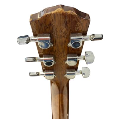Fender Guitar - Acoustic DG-60 NAT image 5