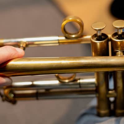 Van Laar OIRAM II 2013 - Raw Brass image 10