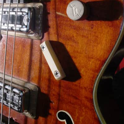 1969 Gretsch Electrotone Bass Model 6073 also called Peter Tork Bass image 17