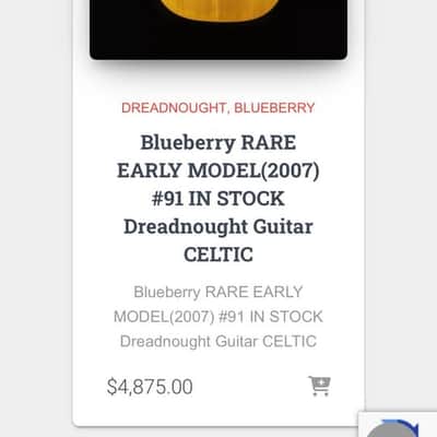 Blueberry Acoustic Dreadnought "Celtic" #291 image 10