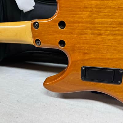 Brian Moore iM i2000 Series Model iGuitar8.13 iGuitar 8.13 Guitar with Roland Synth Access + Gig Bag - MIK Made In Korea 2001 image 14