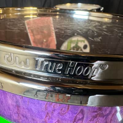 Rikki Rocket's Poison, 2018 Nothing But a Good Time Tour DW Cherry Mahogany 8-Piece Drum Set, Custom Poison Graphic, Autographed!! image 20