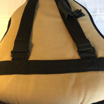 Godin Session (made in USA/Canada)  includes matching soft case image 16