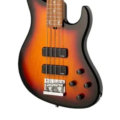 Sadowsky MetroExpress 24-Fret Modern Bass, Roasted Maple Fingerboard, 4-String - Tobacco Sunburst Transparent High Polish image 4