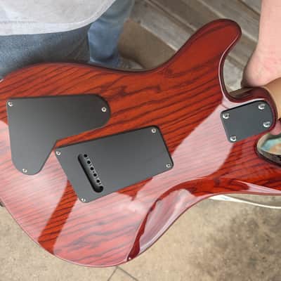 PRS SE Special - Swamp Ash image 2