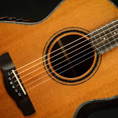 Kevin Ryan Nightingale Grand Soloist – Lucky Strike Redwood & African Blackwood (2022) image 16