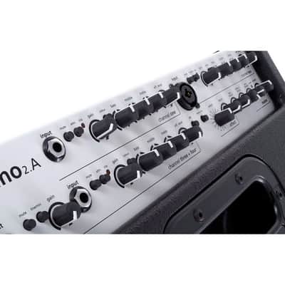 AER Domino 2A | 100W 2x8" +Tweeter Acoustic Combo. New with Full Warranty! image 8