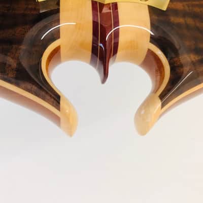 Alembic Alembic Darling Bass Flame Wallnut image 8