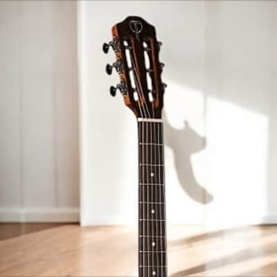 Teton STP180DVB Spruce/Ebony Parlor â€“ Vintage Vibe, Modern Tone! image 6