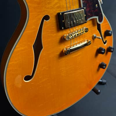 D'Angelico Excel DC Semi-Hollow Body Electric Guitar Amber Finish w/ OHSC image 6