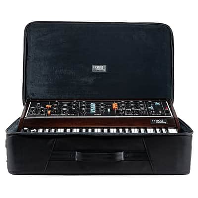 Moog Model D SR Case image 2