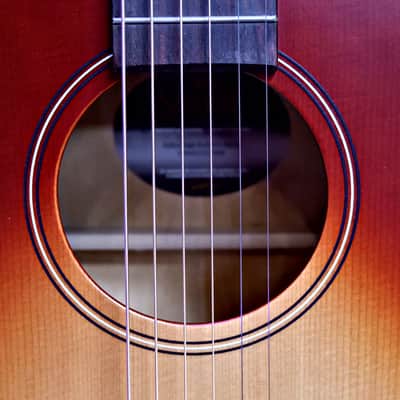 Seagull Entourage Dreadnought - Autumn Burst image 8