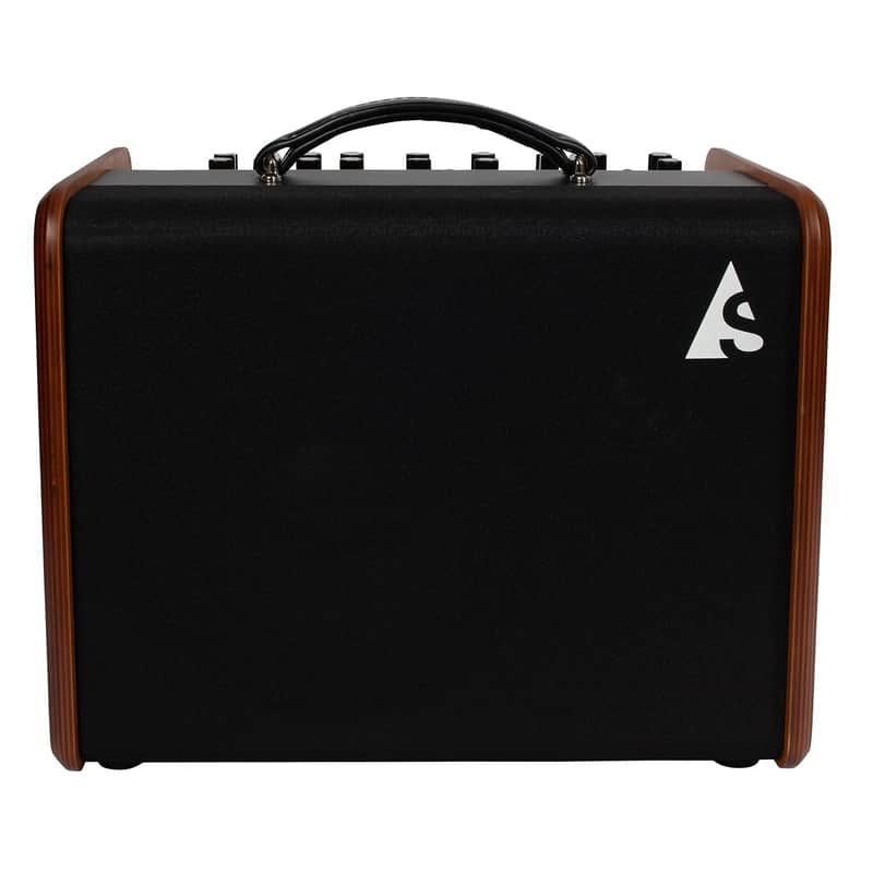 Godin	ASG-8 Acoustic Solutions 2-Channel 120-Watt 1x8" Acoustic Guitar Combo image 1