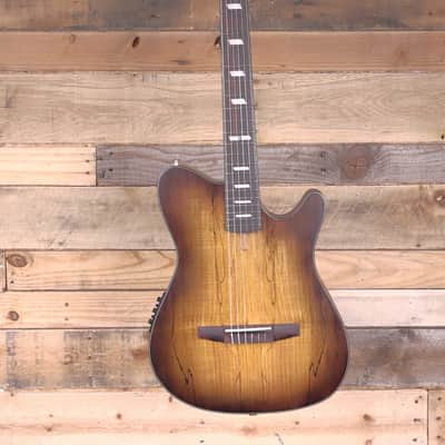 Ibanez FRH20SMN Nylon Acoustic/Electric Guitar Tobacco Burst image 4