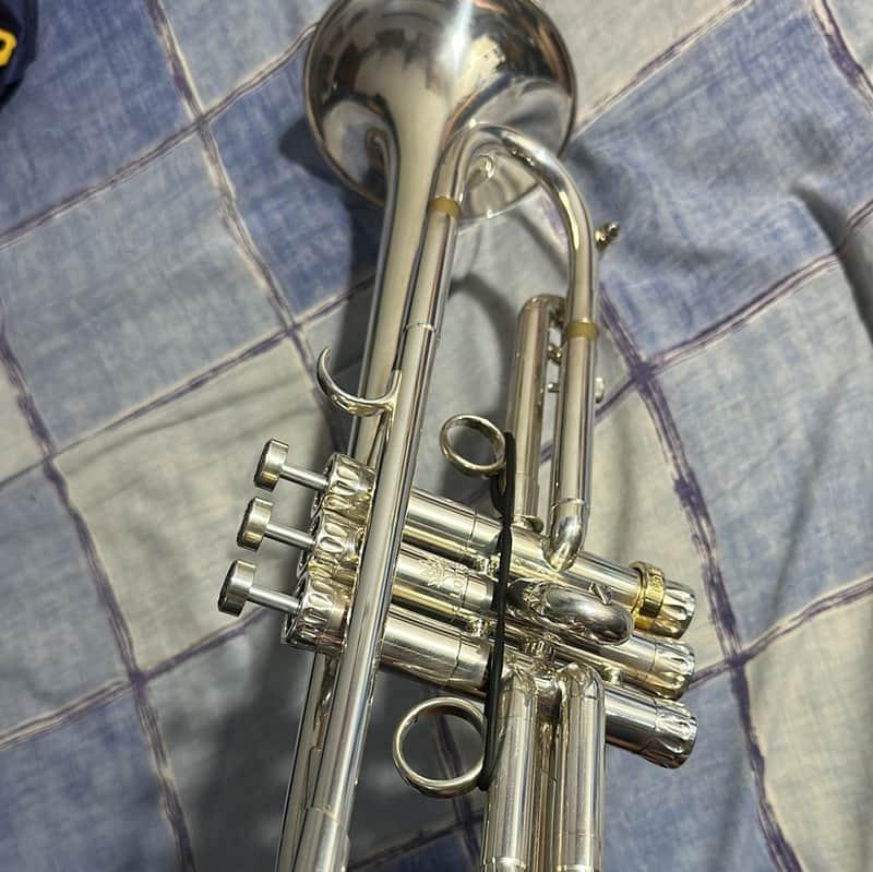 Lotus Lead/Solo Model image 1