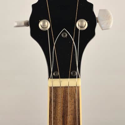 Fender FB-54 5 String Banjo With K&K Pickup and Hard Shell Case image 4