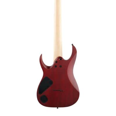 Ibanez RGA742FM Electric Guitar Trans Gray Flat image 5
