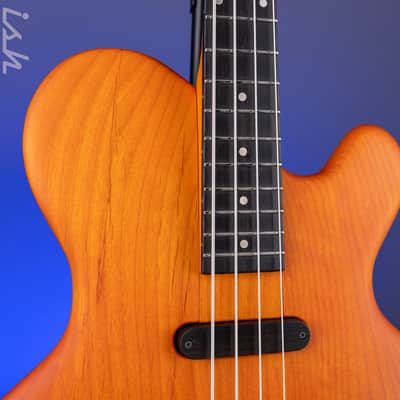 2021 Ritter Princess Isabella Bass Orange Honey image 4