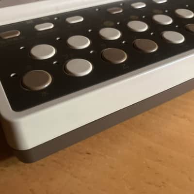 Suiko VS-1 Koto 8 sounds Synthesizer image 2