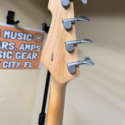 Peavey Fury IV image 9