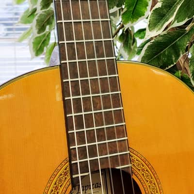Enrique Tapicas C40 Cadiz Classical Guitar by Washburn - Natural image 6