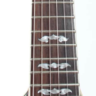 2004 Minarik Inferno sunburst image 4