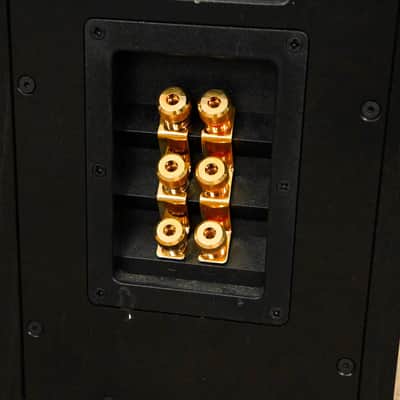 PMC OB1i 3-Way Floorstanding Loudspeaker (PAIR) CG01QHU image 17