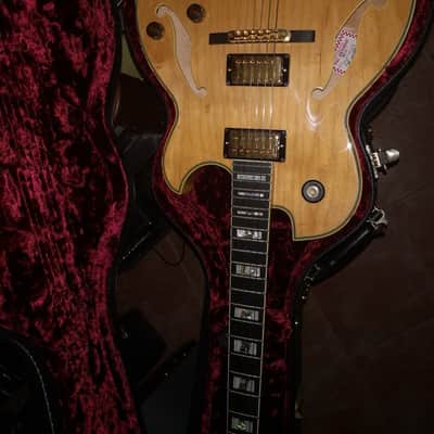 Ibanez PM 120 2008 Natural image 1
