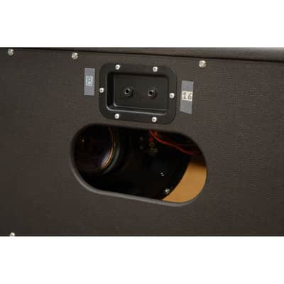 DINO'S 212 Light Cabinet - 150w 2x12 Black Dog Speaker image 5