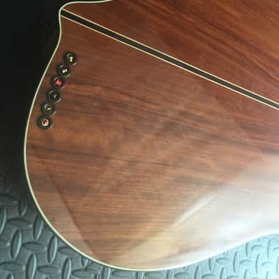 Extraordinary Near Mint Virtuoso Custom Telesis Bespoke 20 String Electro-Acoustic Harp Guitar image 21