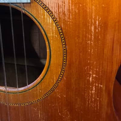 Wolfram The Triumph Metal Fret Board Slotted Headstock 12 Fret Parlor 1890s 1900s 1910s image 5