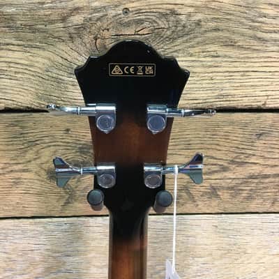 Ibanez AEB10E DVS Ac/El Bass image 4