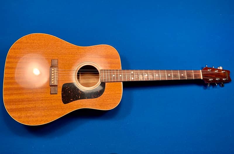 Washburn D-15 image 1