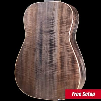 Beard Legacy-E HipShot DoubleShot Square Neck Resonator Guitar - Black Ice 2-Tone Custom Horse Chestnut with Hardshell Case image 2