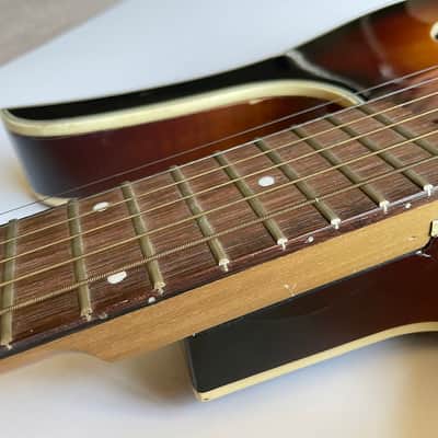 Vintage Danelectro Longhorn Acoustic ALL original image 6