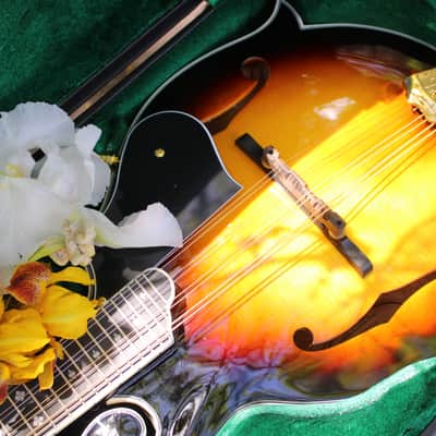Washburn M3SWK Bluegrass F-Style Mandolin with Hardshell Case- Sunburst image 22